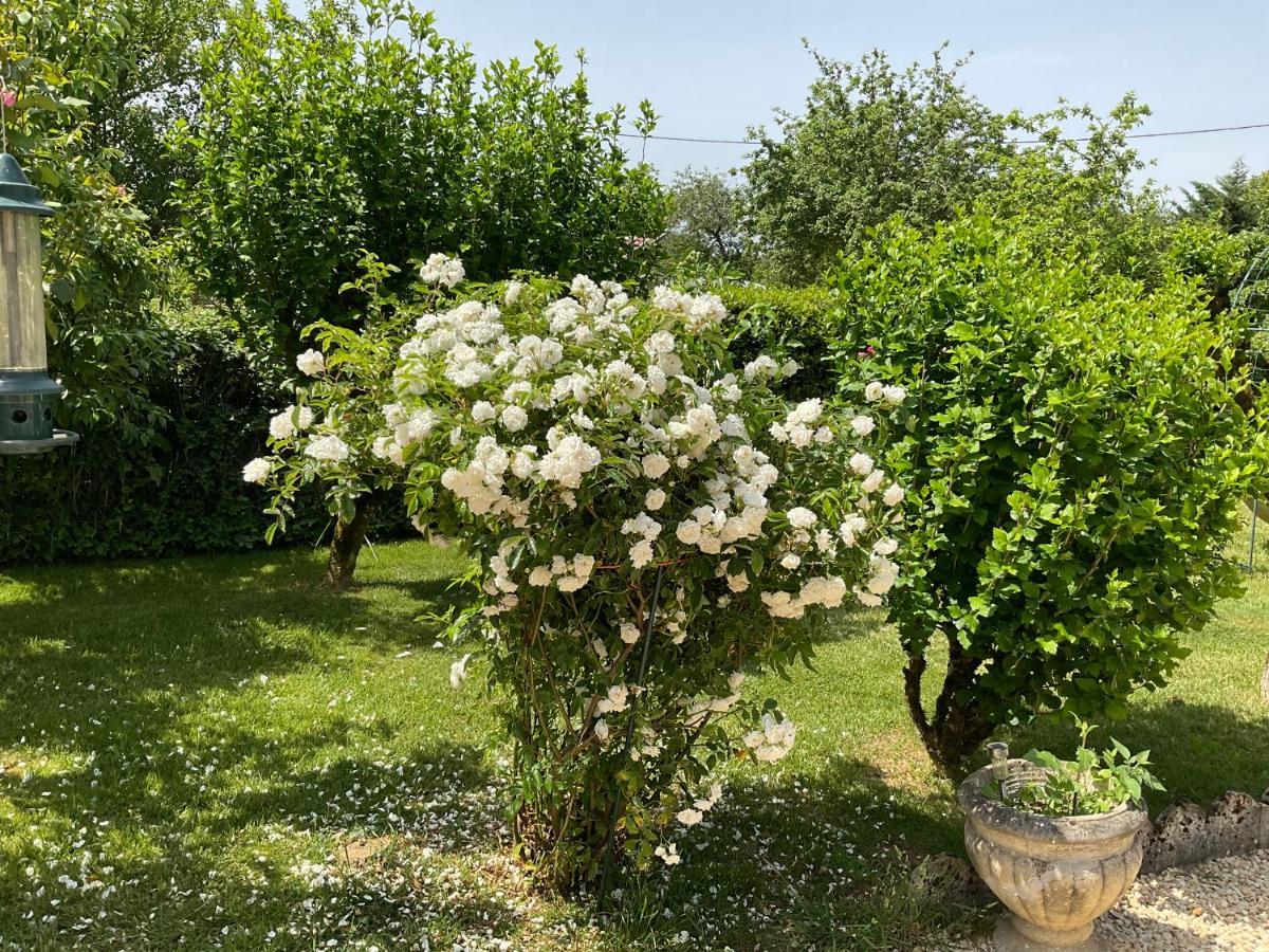 Bed and Breakfast Le Jardin De Rose 24 Feuillebert Romagne 86700 Exterior foto